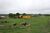 Fazenda, 484 hectares - Foto 3
