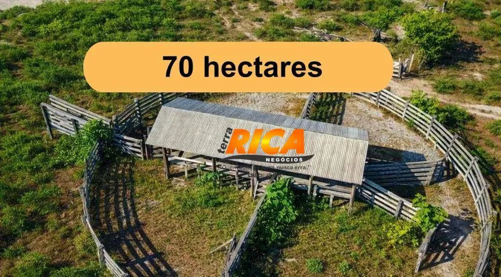 Sítio, 60 hectares - Foto 1