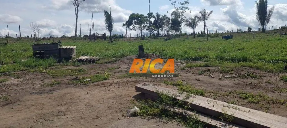 Fazenda, 114 hectares - Foto 10