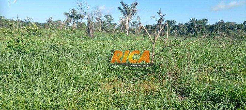 Fazenda, 114 hectares - Foto 1