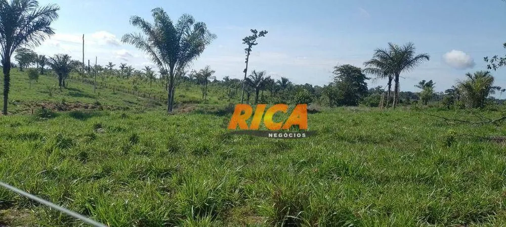 Fazenda, 114 hectares - Foto 4