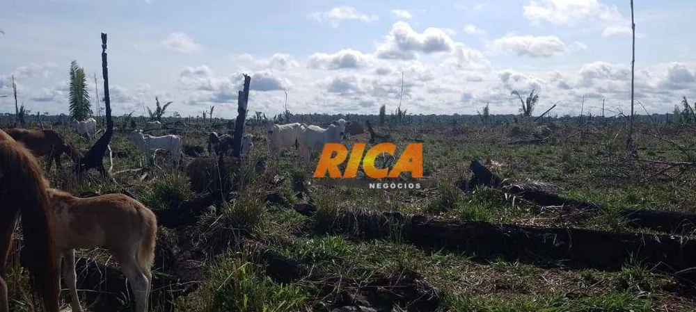 Fazenda, 114 hectares - Foto 7