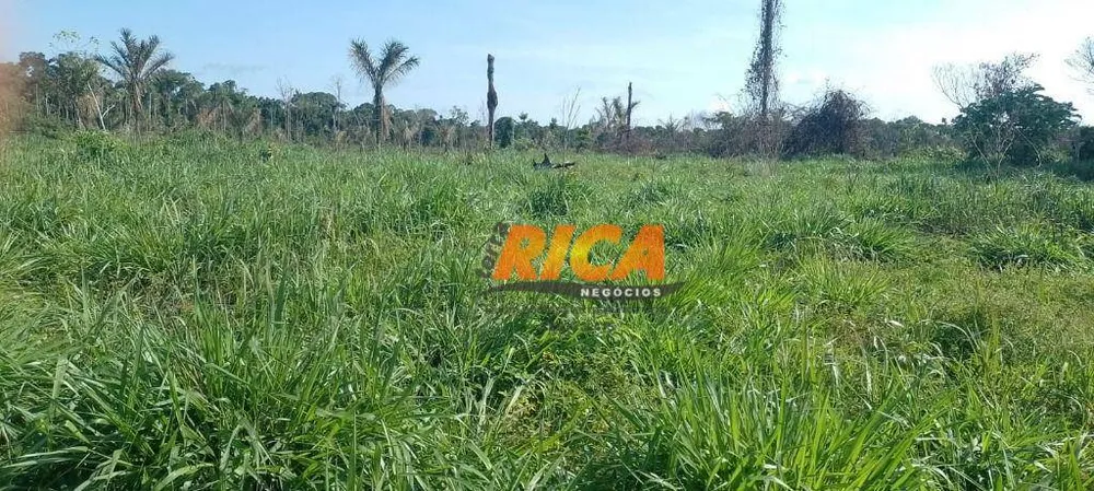 Fazenda, 114 hectares - Foto 2