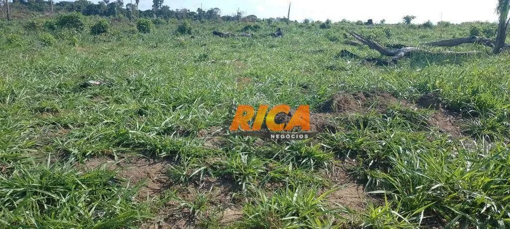 Fazenda, 114 hectares - Foto 9