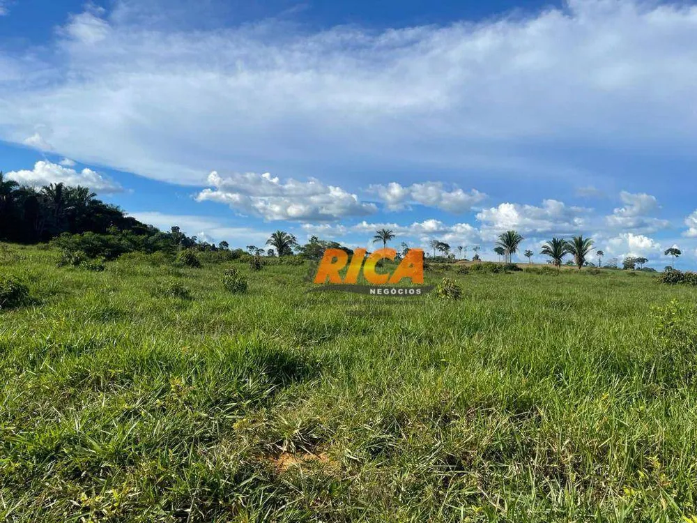 Fazenda, 447 hectares - Foto 10