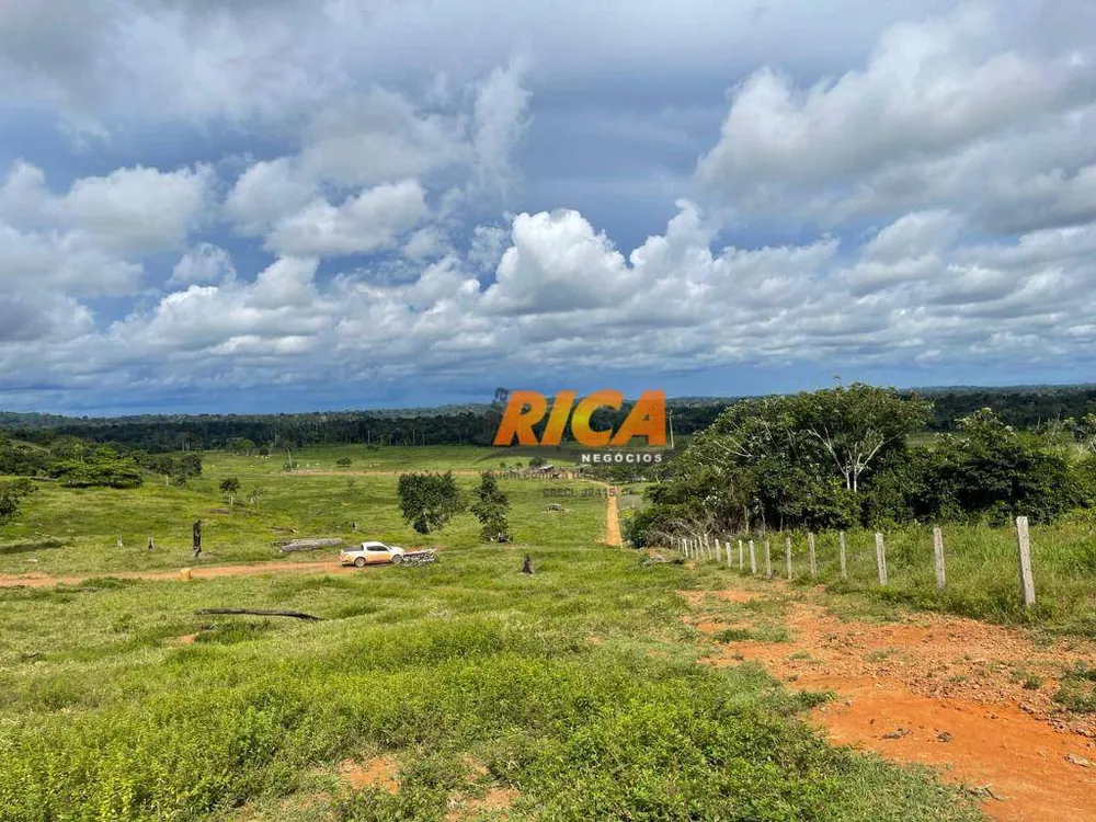 Fazenda, 447 hectares - Foto 9