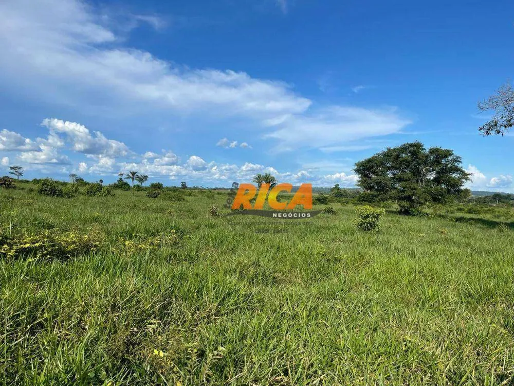 Fazenda, 447 hectares - Foto 12