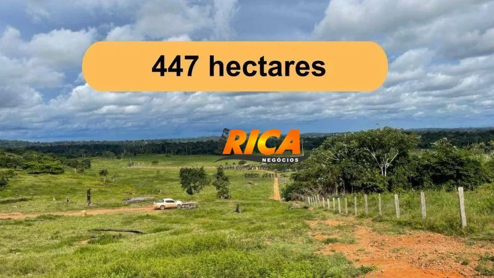 Fazenda, 447 hectares - Foto 2