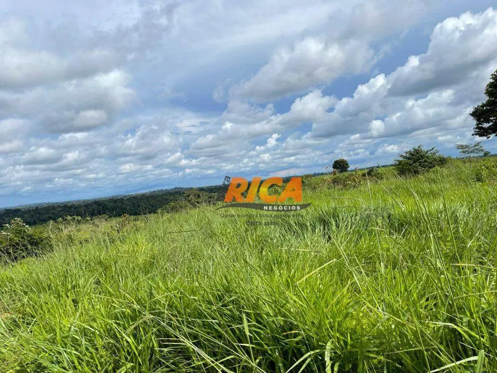 Fazenda, 447 hectares - Foto 8