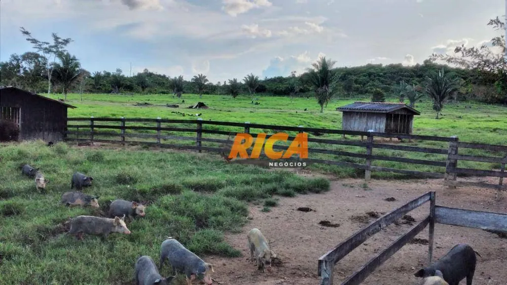 Fazenda, 447 hectares - Foto 7
