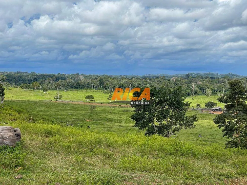 Fazenda, 447 hectares - Foto 11