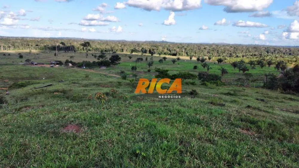 Fazenda, 447 hectares - Foto 6