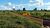Fazenda, 447 hectares - Foto 4