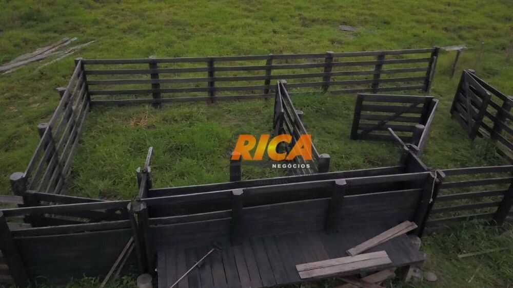 Sítio, 20 hectares - Foto 4