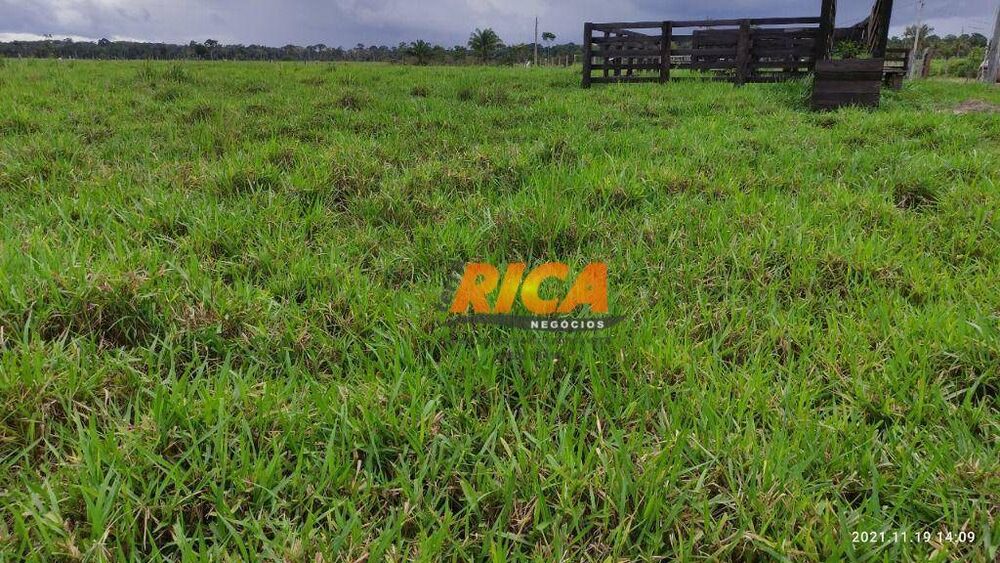 Sítio, 20 hectares - Foto 3