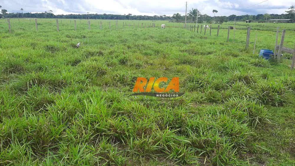 Sítio, 20 hectares - Foto 7