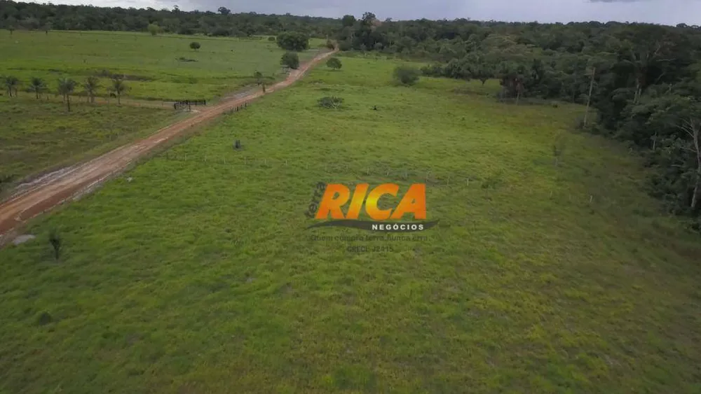Sítio, 20 hectares - Foto 11