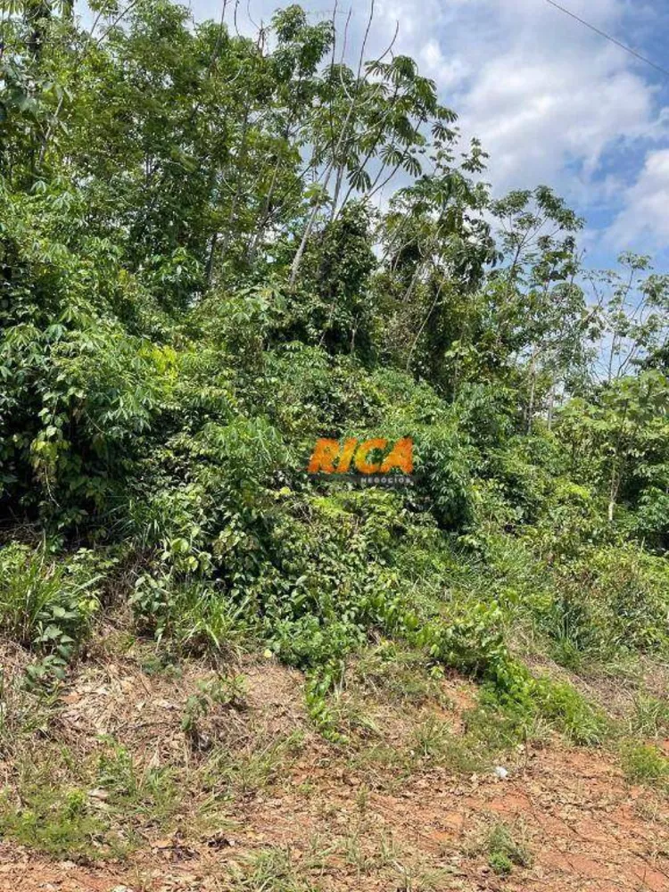 Terreno, 2 hectares - Foto 10