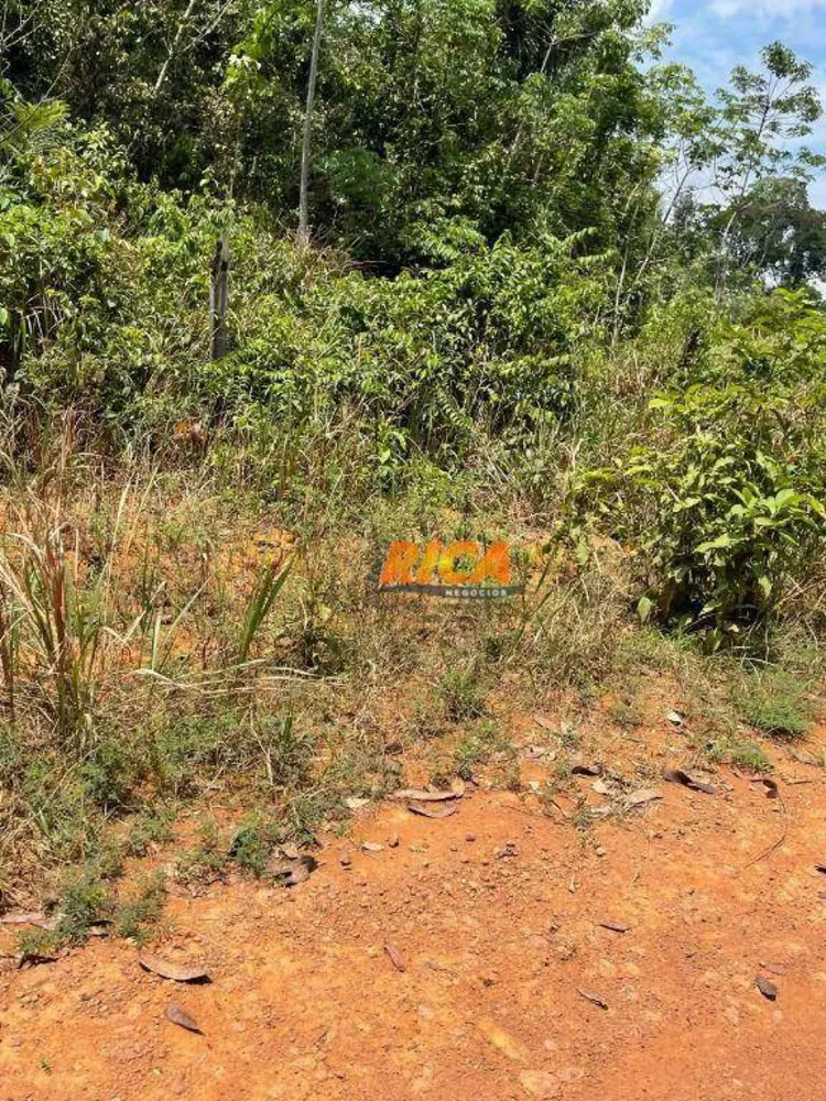 Terreno, 2 hectares - Foto 1