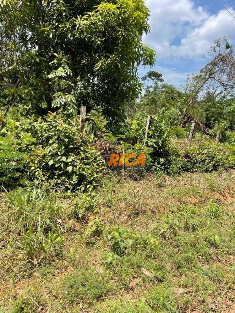 Terreno, 2 hectares - Foto 9