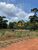 Terreno, 2 hectares - Foto 4