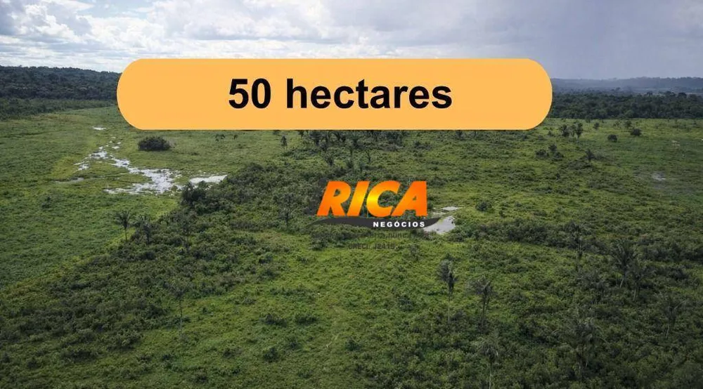 Sítio, 50 hectares - Foto 1