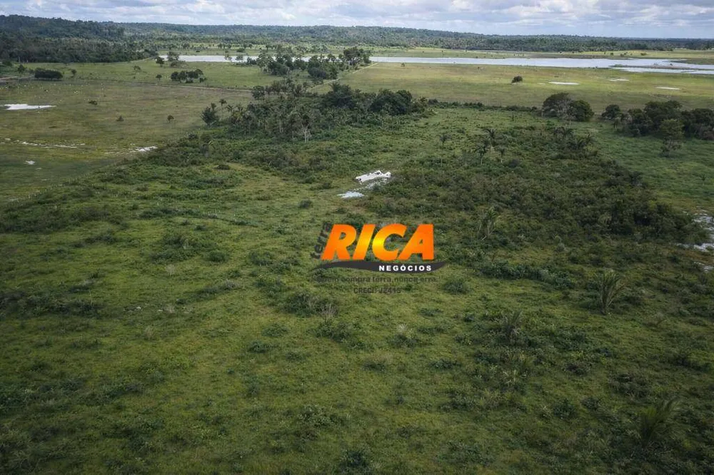 Sítio, 50 hectares - Foto 4