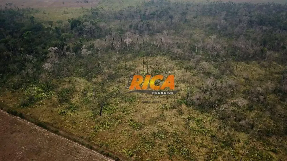 Fazenda, 89 hectares - Foto 4