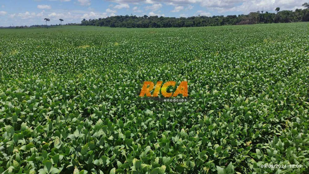 Fazenda, 1178 hectares - Foto 2