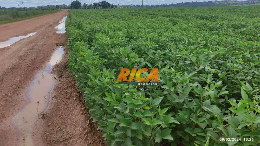 Fazenda, 1178 hectares - Foto 4
