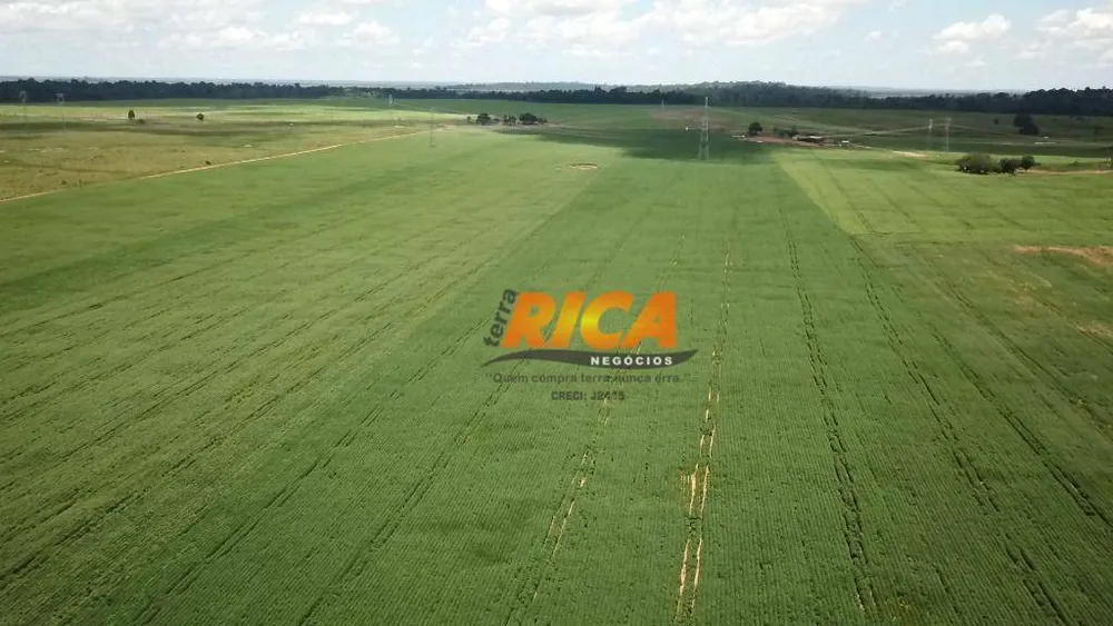 Fazenda, 1178 hectares - Foto 12