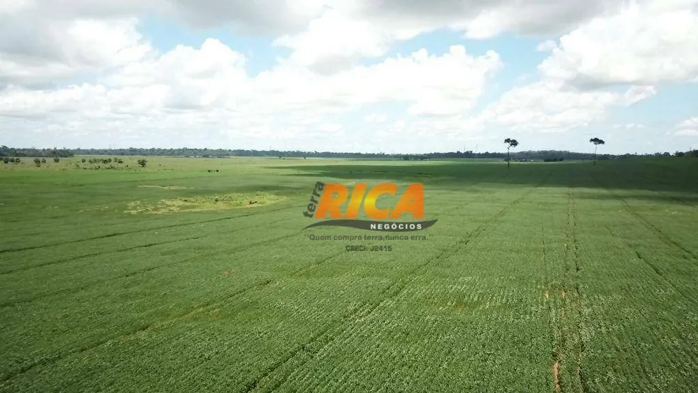 Fazenda, 1178 hectares - Foto 11