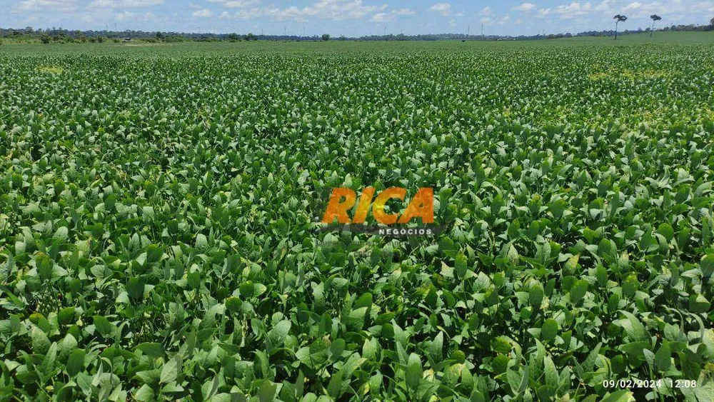 Fazenda, 1178 hectares - Foto 3