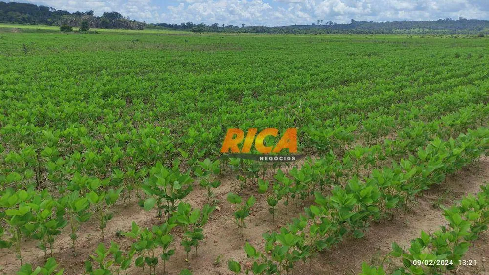 Fazenda, 1178 hectares - Foto 7
