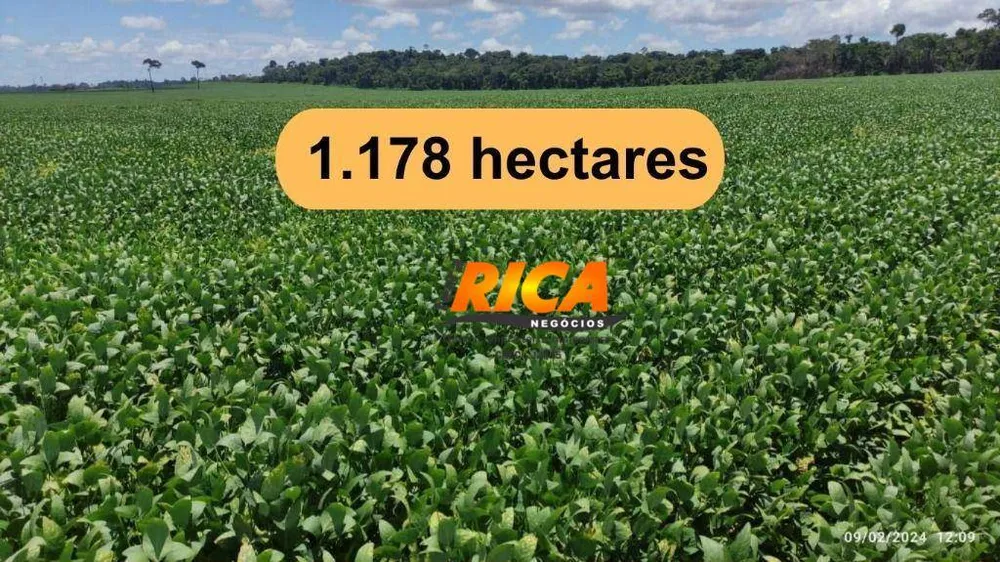 Fazenda, 1178 hectares - Foto 1