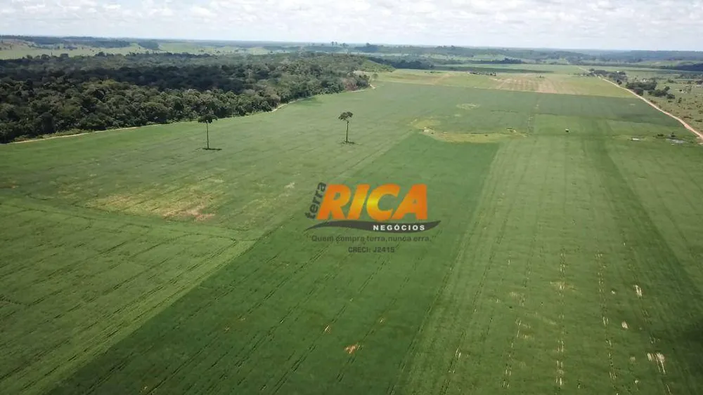 Fazenda, 1178 hectares - Foto 8