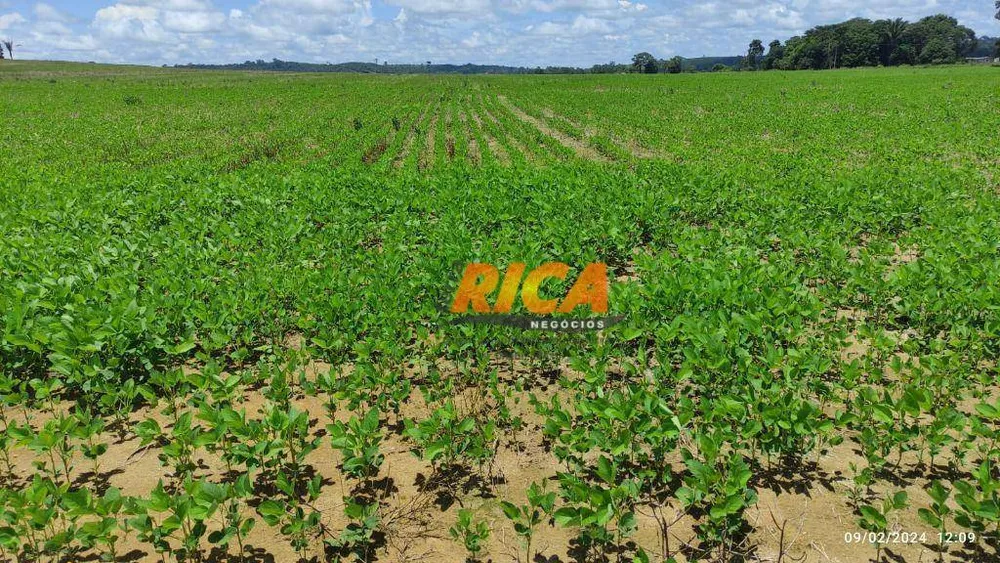 Fazenda, 1178 hectares - Foto 6