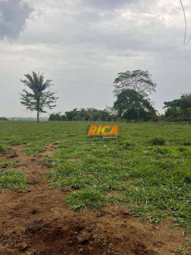 Sítio, 24 hectares - Foto 11