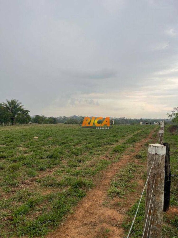 Sítio, 24 hectares - Foto 23