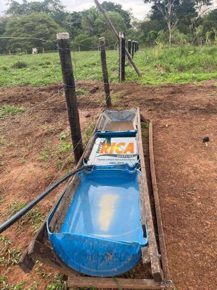 Sítio, 24 hectares - Foto 17