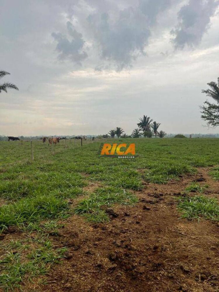 Sítio, 24 hectares - Foto 13