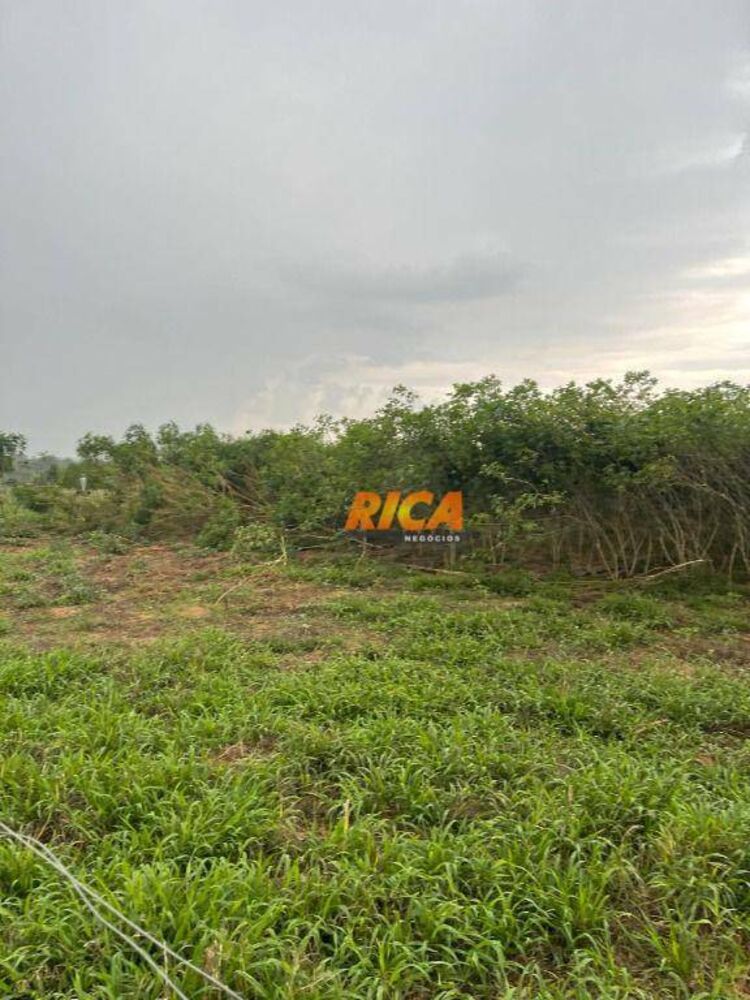 Sítio, 24 hectares - Foto 21