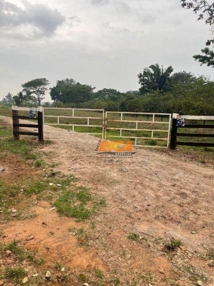 Sítio, 24 hectares - Foto 4