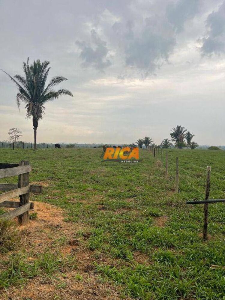 Sítio, 24 hectares - Foto 16