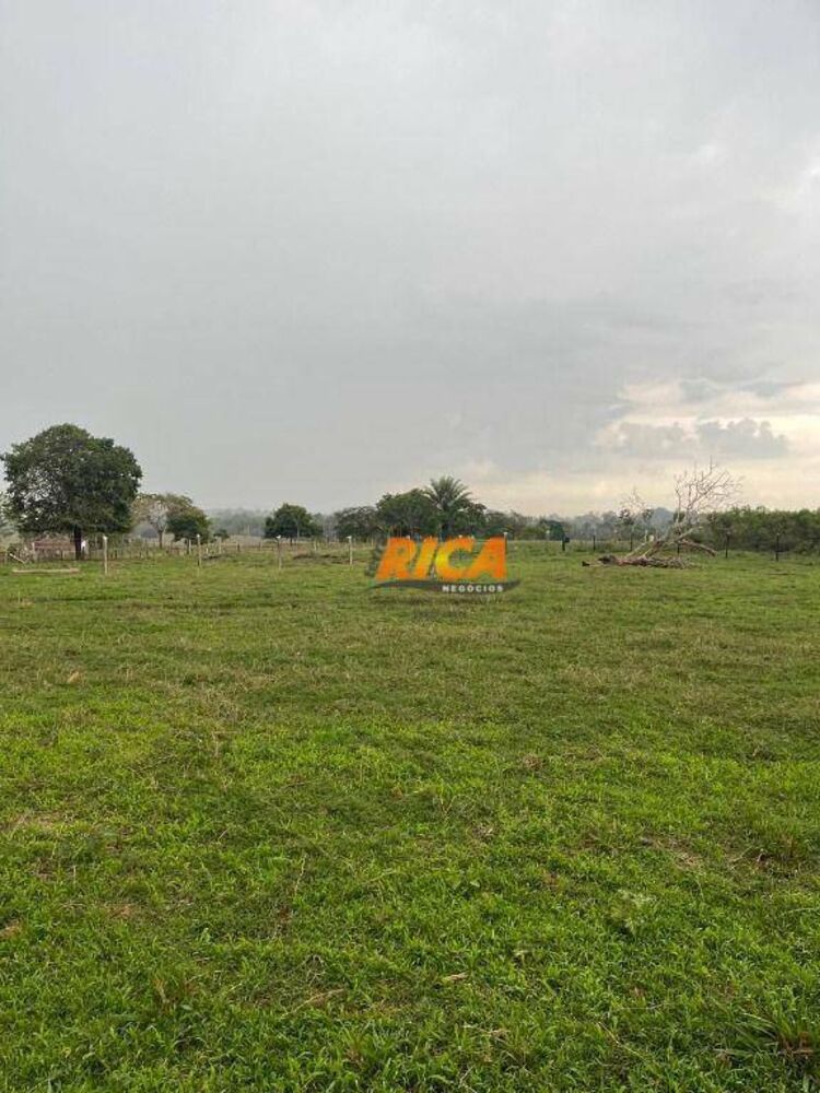 Sítio, 24 hectares - Foto 7