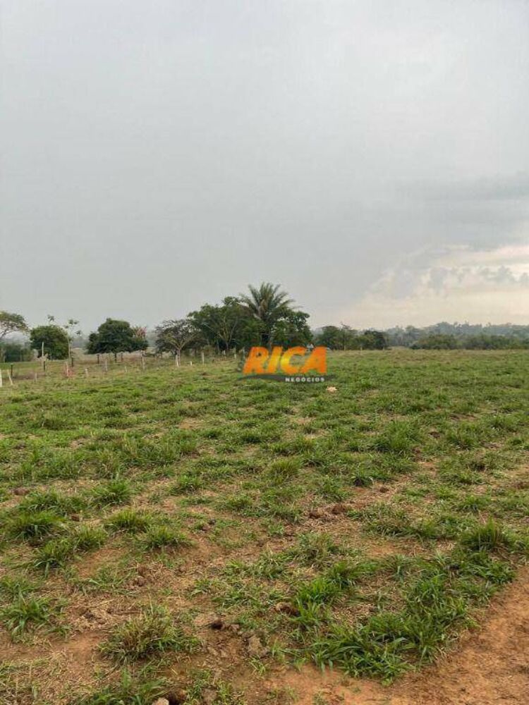 Sítio, 24 hectares - Foto 24