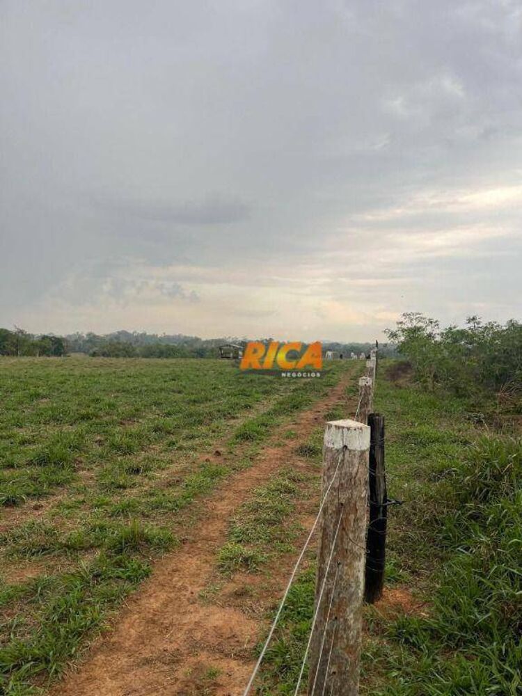 Sítio, 24 hectares - Foto 25