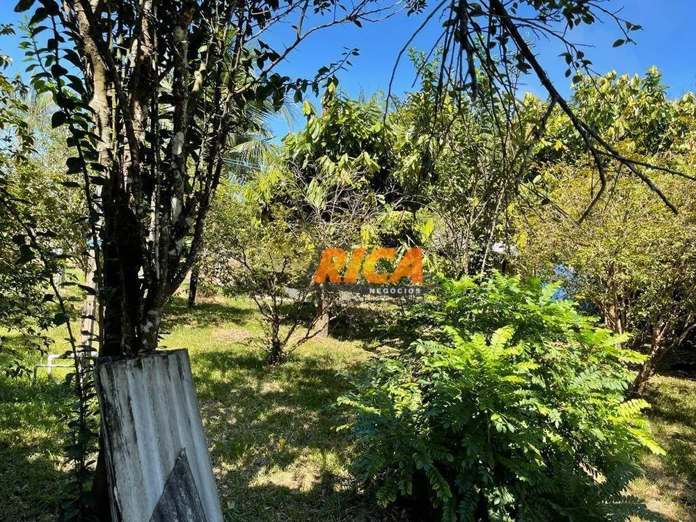 Chácara, 3 quartos, 2 hectares - Foto 4