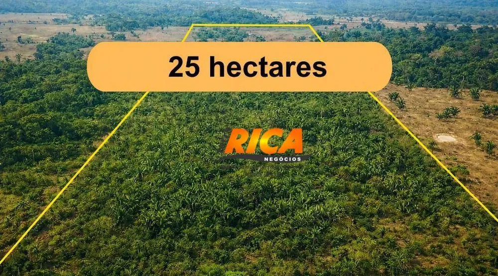Sítio, 25 hectares - Foto 2