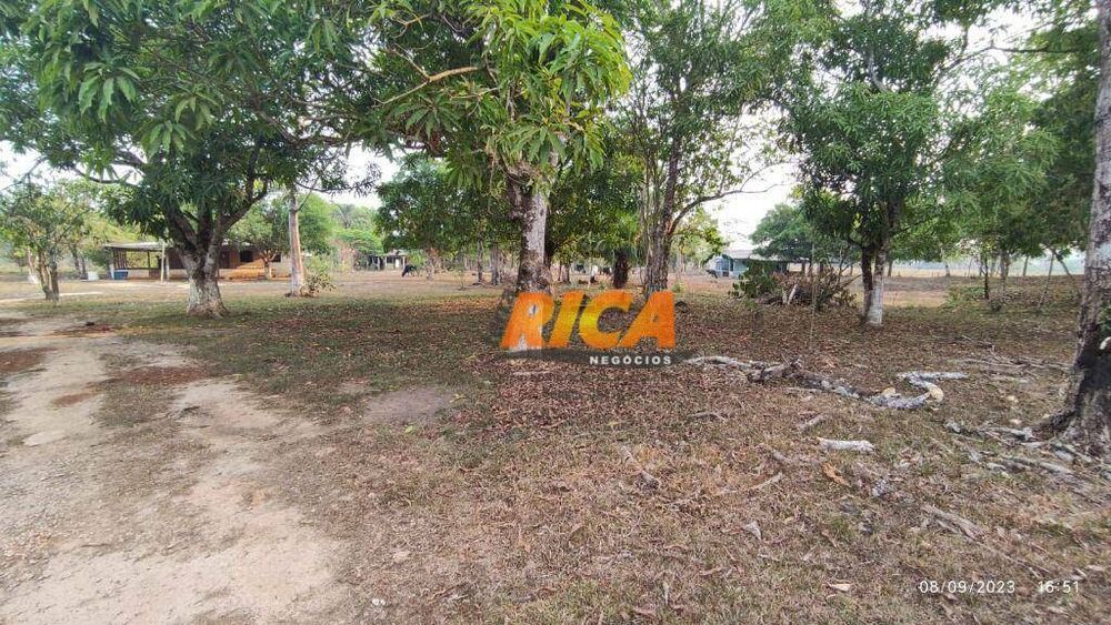 Fazenda, 25 hectares - Foto 12